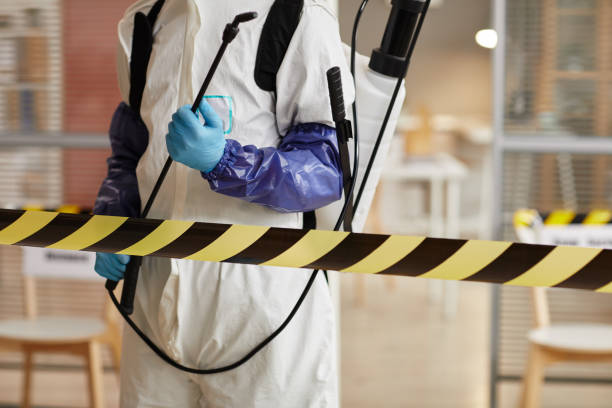 Professional Sewage Cleanup technician working in Little Rock, AR